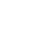 University of Pisa